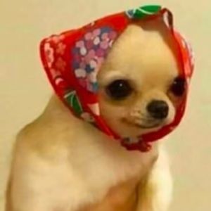 Meet your Posher, Kathy